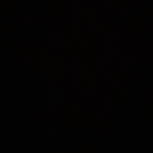 Meet your Posher, Noah